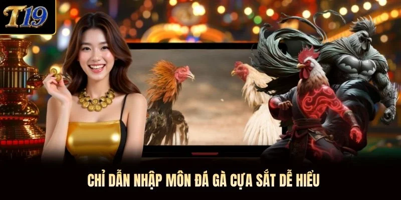 Chỉ dẫn nhập môn đá gà cựa sắt dễ hiểu