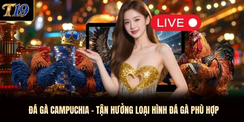 Đá Gà Campuchia - Tận Hưởng Loại Hình Đá Gà Phù Hợp