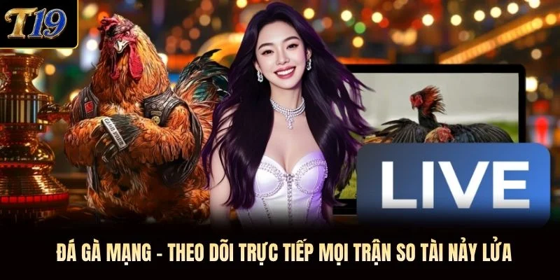 Đá Gà Mạng - Theo Dõi Trực Tiếp Mọi Trận So Tài Nảy Lửa