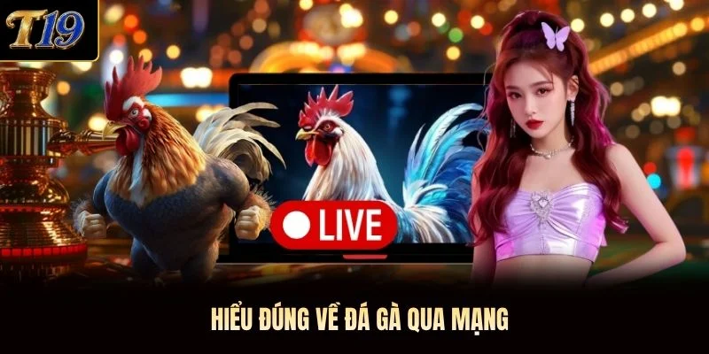 Hiểu đúng về đá gà qua mạng