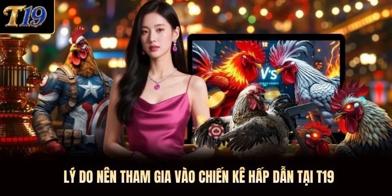 Lý do nên tham gia vào chiến kê hấp dẫn tại T19