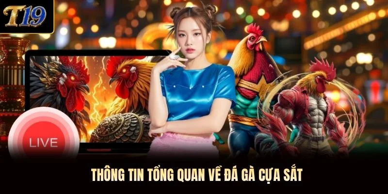 Thông tin tổng quan về đá gà cựa sắt