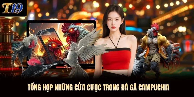 Tổng hợp những cửa cược trong đá gà campuchia