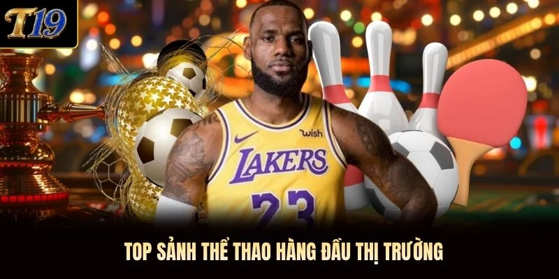 Top sảnh thể thao hàng đầu thị trường
